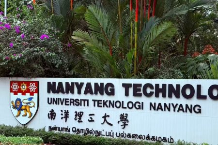 南洋理工大学